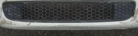 Front bumper lower grill
