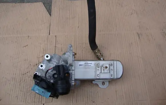 Citroen C4 I Picasso EGR valve cooler 29004027