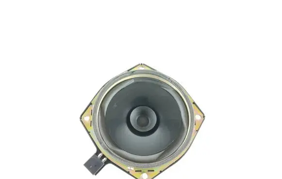 Hyundai Centennial Rear door speaker 963303B500