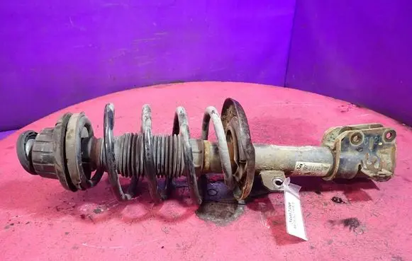 Fiat Bravo Front shock absorber with coil spring 50708894
