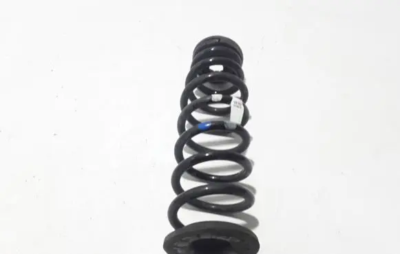Hyundai Ioniq Rear coil spring 55350G2600