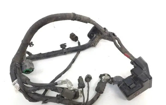 KIA Rio Negative earth cable (battery) 918501w220b 919701p021