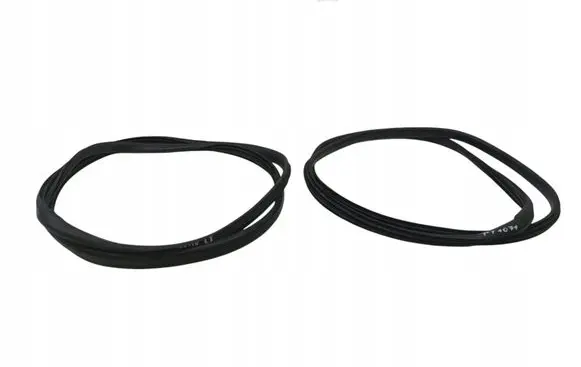 Renault Scenic III - Grand scenic III Rubber seal front door (on door) 