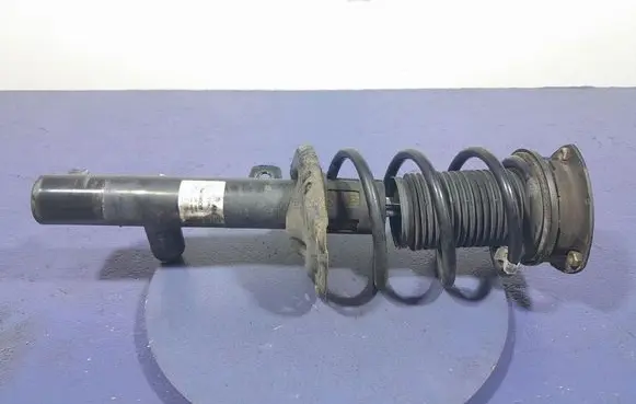 Skoda Superb B5 (3U) Front shock absorber/damper 3Q0413031AK