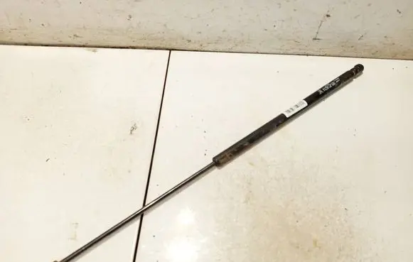 Tailgate/trunk strut/damper