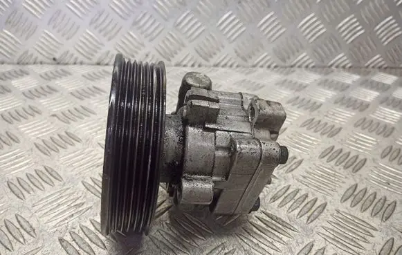 Hyundai Santa Fe Electric power steering pump 