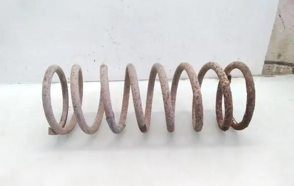 Land Rover Discovery Front coil spring
