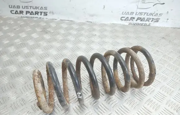 Hyundai Trajet Rear coil spring