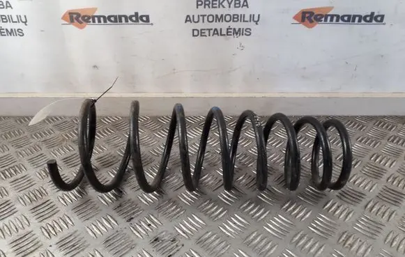 Rear coil spring