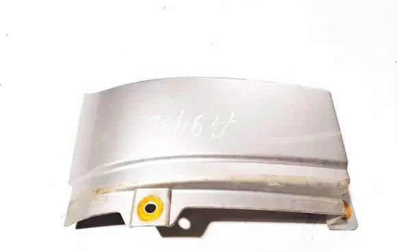 Rear/tail light trim molding