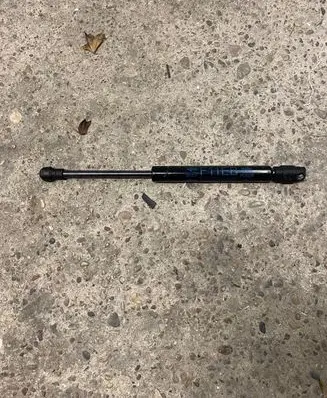 Tailgate strut