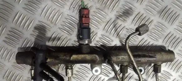 Peugeot 406 Fuel main line pipe 0445214019