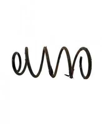 Ford Focus C-MAX Front coil spring
