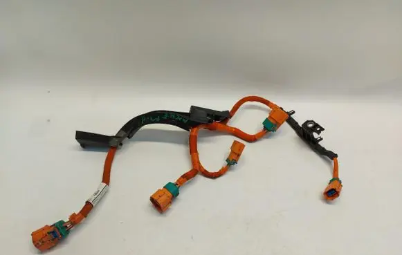 Ford Mustang Mach-E Other wiring loom LJ98-14B323-AE