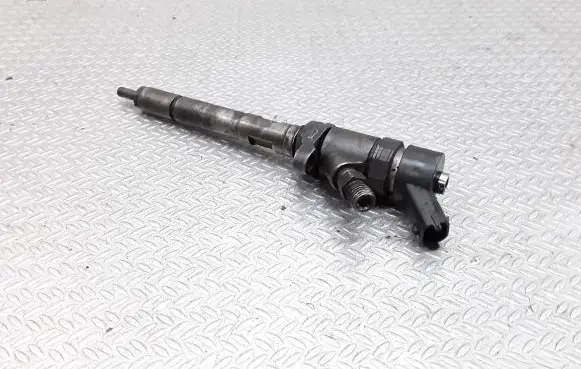 Citroen C5 Fuel injector 0445110188