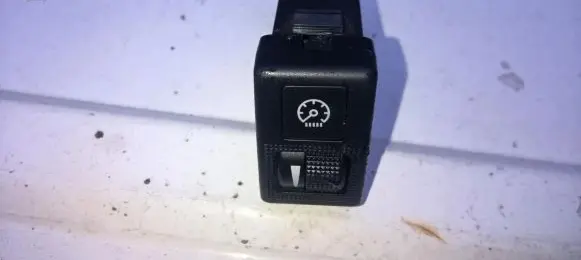 Panel lighting control switch