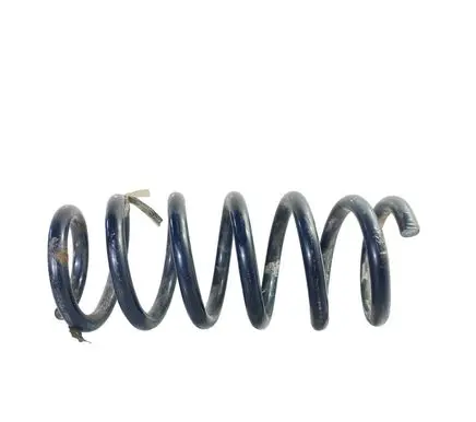Ford Edge II Rear coil spring F2GC5560CND