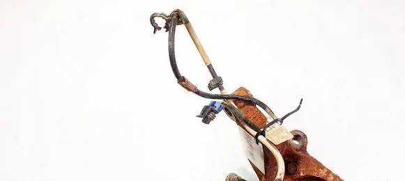 Other wiring loom