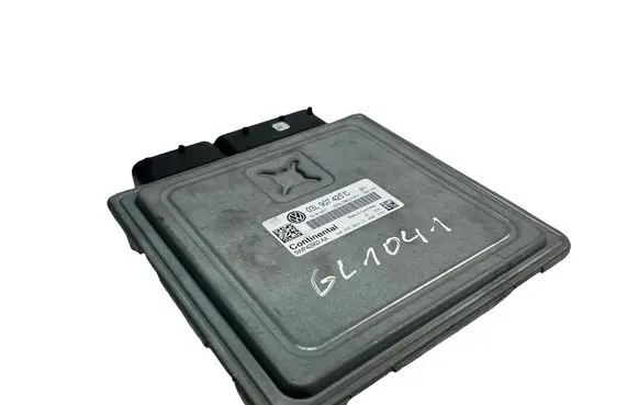Volkswagen PASSAT B7 Engine control unit/module 03L907425C