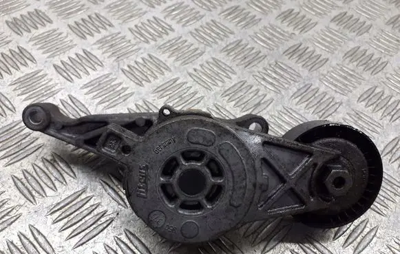 Skoda Octavia Mk2 (1Z) Alternator belt tensioner pulley 