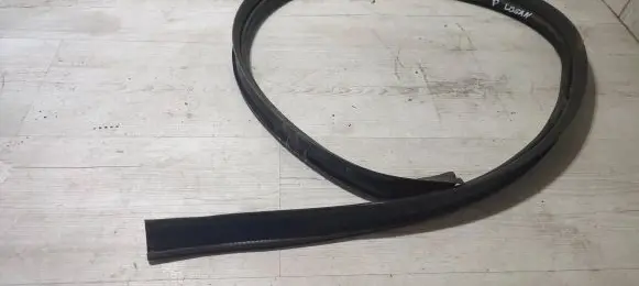 Dacia Logan II Front door rubber seal LDCAX