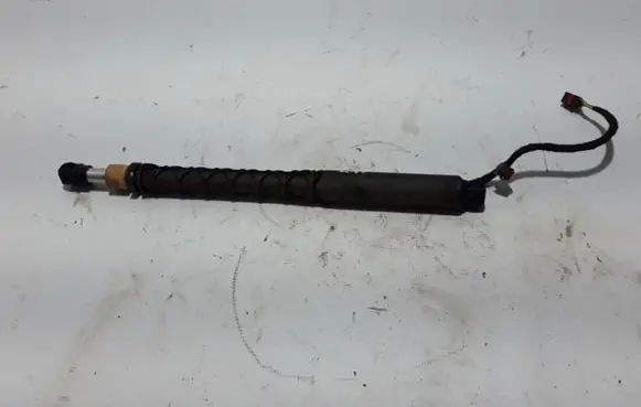 Tailgate strut