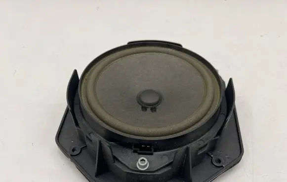 Front door speaker