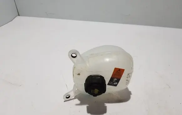 Renault Espace VI Coolant expansion tank/reservoir 217105629R