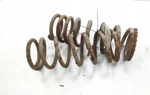 Land Rover Discovery Rear coil spring
