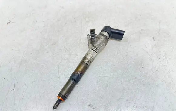 Renault Scenic IV - Grand scenic IV Fuel injector 166006212R