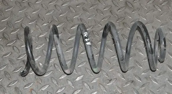 Rear coil spring