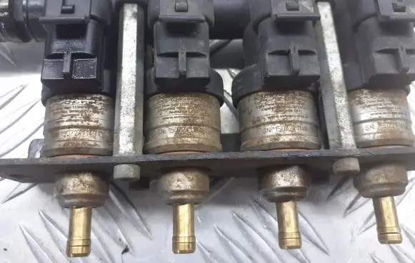 Citroen Berlingo LP gas injector 67R-016409