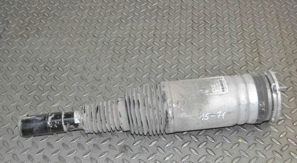 Land Rover Range Rover Sport L494 Air suspension front shock absorber DPLA3C286BF