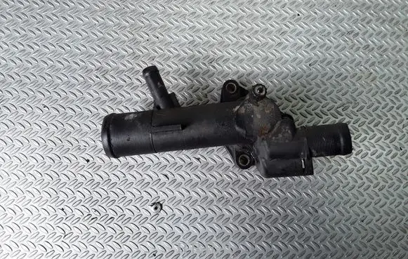 Thermostat/thermostat housing