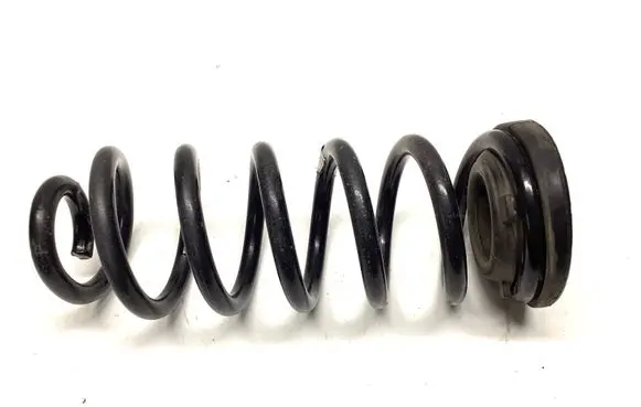 Rear coil spring