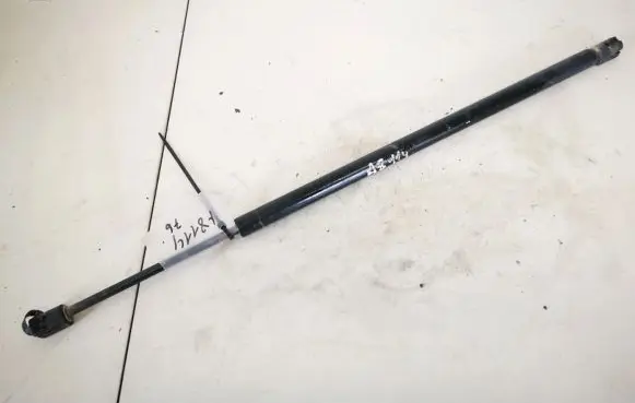 Dodge Durango Tailgate/trunk strut/damper