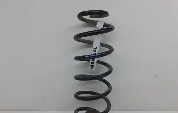 Volkswagen New Beetle Rear coil spring