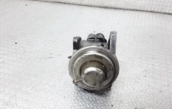 EGR valve