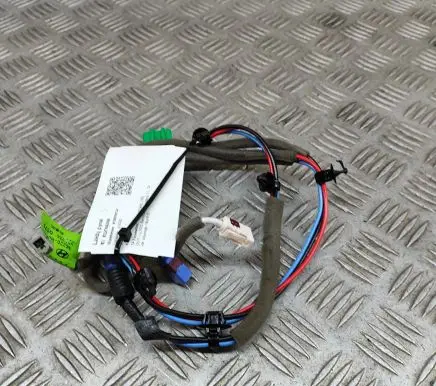 Other wiring loom