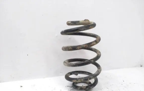 Rear coil spring