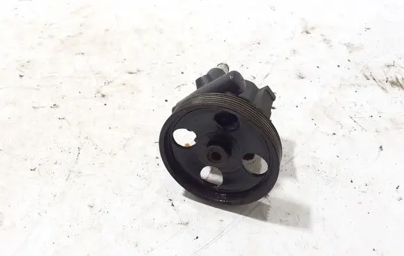 Renault Trafic II (X83) Power steering pump 491100246R