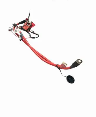 BMW 1 F20 F21 Positive cable (battery) 925311103