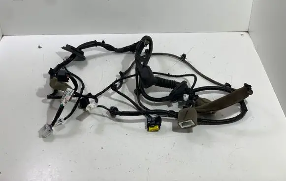 Front door wiring loom