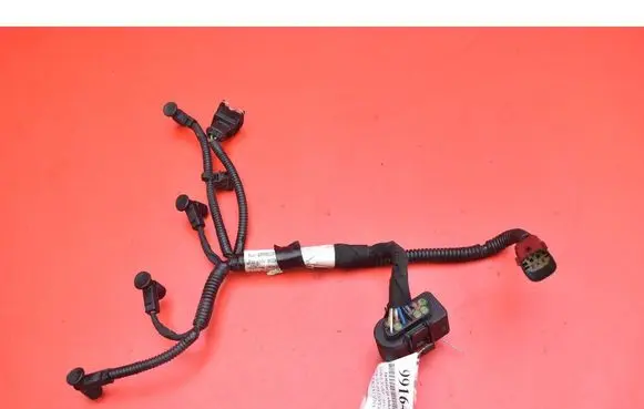 Other wiring loom