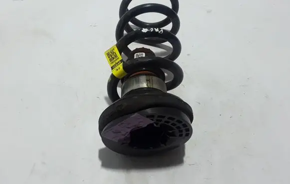 Chrysler Pacifica Rear coil spring 68231026AB