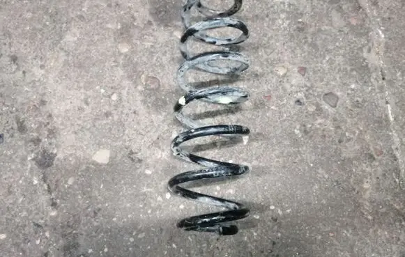 Skoda Roomster (5J) Rear coil spring