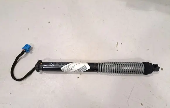 Tailgate/trunk strut/damper