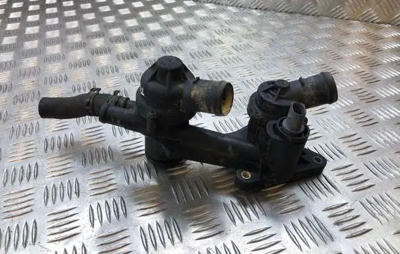 Thermostat/thermostat housing