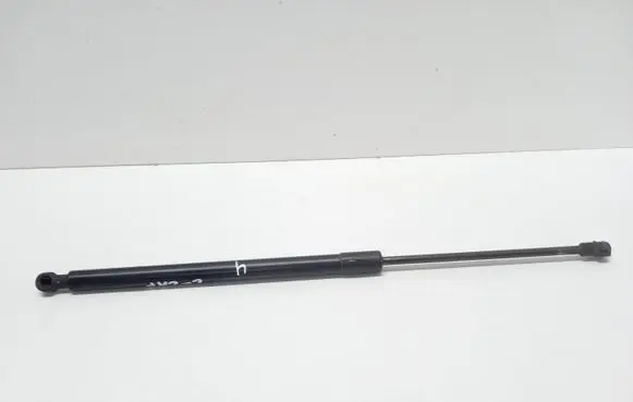Chevrolet Captiva Tailgate/trunk strut/damper 96830123 05532220813