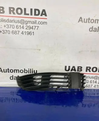 Volkswagen PASSAT B5.5 Front bumper lower grill